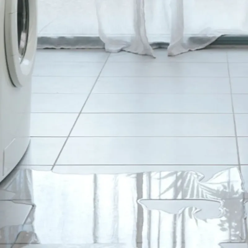 Appliance Leak Cleanup in Hudson, MI