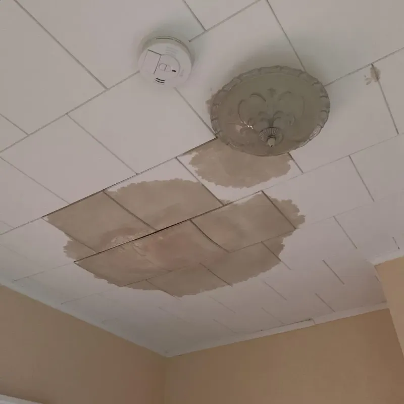 Ceiling Water Damage Repair in Hudson, MI