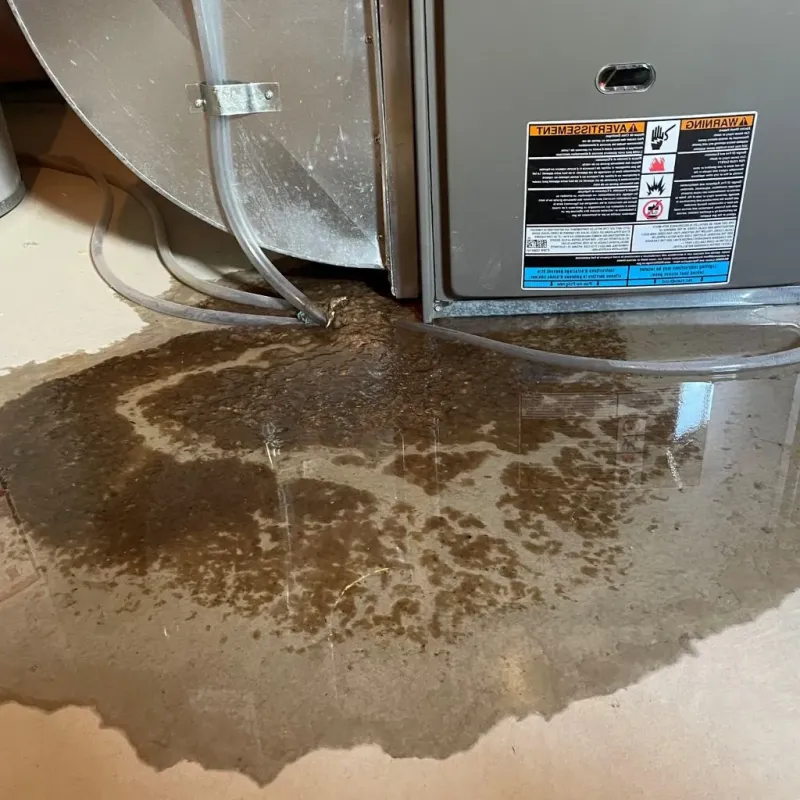 Pipe Burst and Leak Restoration in Hudson, MI