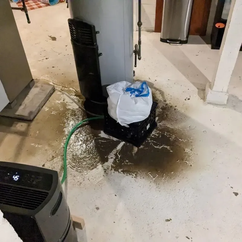 Sewage Backup Cleanup Service in Hudson, MI